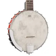 Washburn B6 Banjo