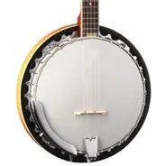 Washburn B9 Banjo