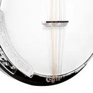 Gold Tone Mandolin-Banjo with Gig Bag