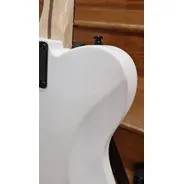 SECONDHAND Fender Jim Root Telecaster inc. Hardcase - Flat White