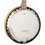 Washburn B10 Banjo