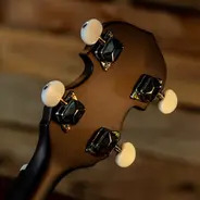 Washburn B8 Banjo Pack