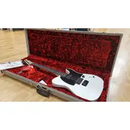SECONDHAND Fender Jim Root Telecaster inc. Hardcase - Flat White