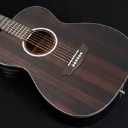 Washburn Deep Forest Ebony FE Folk Electro Acoustic Guitar - Natural Matte