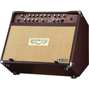 Carlsbro Sherwood 60R Acoustic Amp