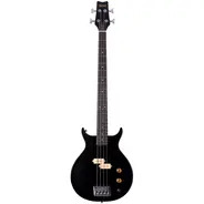 Washburn SB4- Scavenger Bass