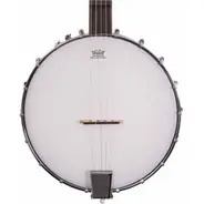 Washburn B7 Banjo