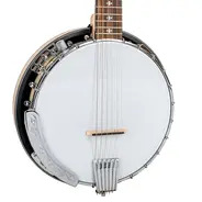 Gold Tone 6-String Deluxe Banjitar 