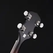 Washburn B7 Banjo