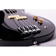 Washburn SB4- Scavenger Bass