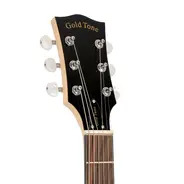 Gold Tone 6-String Deluxe Banjitar 
