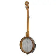 Barnes & Mullins Albert BJ350G 5-String Banjo Open Back