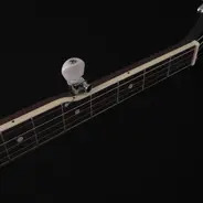 Washburn B7 Banjo