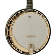 Washburn B17 Banjo