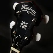 Washburn B9 Banjo