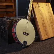 Washburn B7 Banjo