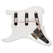 EMG DG20 - David Gilmour Preloaded Scratchplate