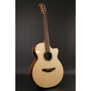 Faith High Gloss Series - FVHG3 Venus Cutaway Electro