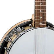 Gold Tone 6-String Deluxe Banjitar 