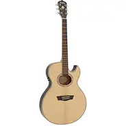 Washburn Festival EA20S Nuno Bettencourt Electro Acoustic Guitar - Natural