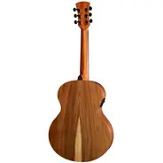 Faith Nomad Series FDNETB MINI Neptune Electro - Trembesi