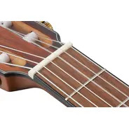 Ibanez FRH10N Electro Nylon Guitar
