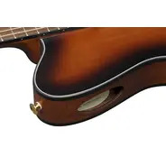 Ibanez FRH10N Electro Nylon Guitar