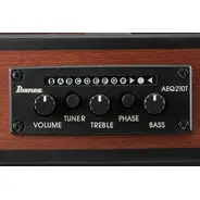 Ibanez FRH10N Electro Nylon Guitar