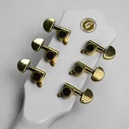 Gould GE40 Steelport Electric Guitar