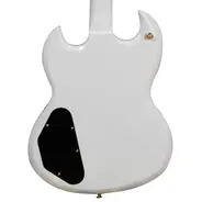 Gould GE40 Steelport Electric Guitar
