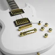 Gould GE40 Steelport Electric Guitar