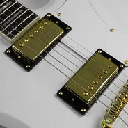 Gould GE40 Steelport Electric Guitar