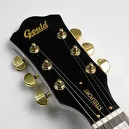 Gould GE40 Steelport Electric Guitar
