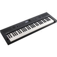 Roland GO KEYS 5 - 61-Note Music Creation Keyboard 