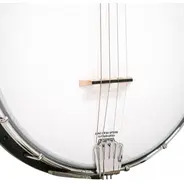 Gold Tone 19-Fret Acoustic Composite 4-String Openback Tenor Banjo with Gig Bag