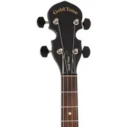 Gold Tone 17-Fret Acoustic Composite 4-String Openback Irish Tenor Banjo 