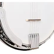 Gold Tone 5-String Bluegrass Banjo with Flange & Gig Bag