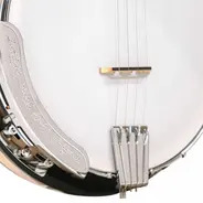 Gold Tone 4-String Cripple Creek Plectrum Resonator Banjo with Gig Bag - GigGear