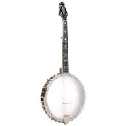 Gold Tone 5-String Cello Banjo & Hard Case