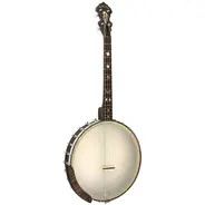 Gold Tone 17-Fret Irish Tenor Banjo with Gig Bag