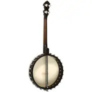Gold Tone 17-Fret Irish Tenor Banjo with Gig Bag
