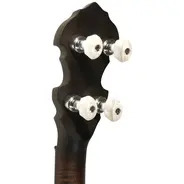 Gold Tone 17-Fret Irish Tenor Banjo with Gig Bag