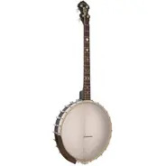 Gold Tone 19-Fret Irish Tenor Banjo with Gig Bag