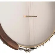 Gold Tone 19-Fret Irish Tenor Banjo with Gig Bag