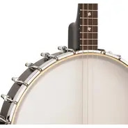 Gold Tone 19-Fret Irish Tenor Banjo with Gig Bag