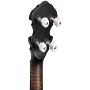 Gold Tone 19-Fret Irish Tenor Banjo with Gig Bag