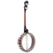 Gold Tone 17-Fret Irish Tenor Banjo with Hard Case