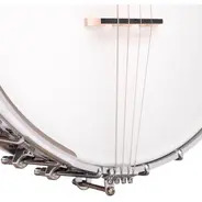 Gold Tone 17-Fret Irish Tenor Banjo with Hard Case