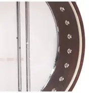 Gold Tone 17-Fret Irish Tenor Banjo with Hard Case