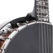 Gold Tone Missing Link Bela Fleck Baritone Banjo with Hard Case